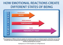 Load image into Gallery viewer, Special: Breaking the Habit Audio Book Package