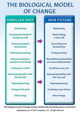 Load image into Gallery viewer, Special: Breaking the Habit Audio Book Package