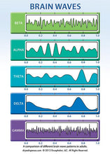 Load image into Gallery viewer, Special: Breaking the Habit Audio Book Package
