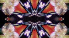 Load image into Gallery viewer, Kaleidoscope DVD