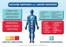 Load image into Gallery viewer, Special: You Are the Placebo Starter Package
